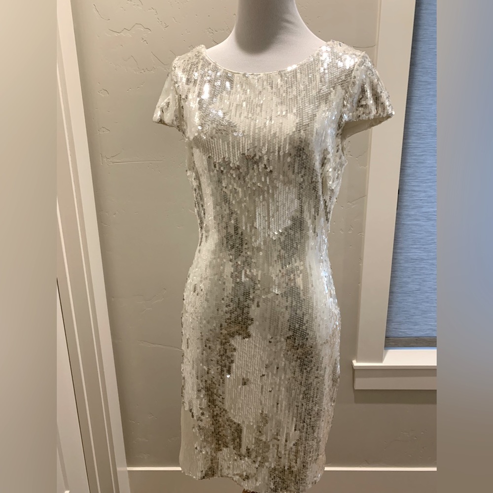 Dress the Population sequin semi-formal